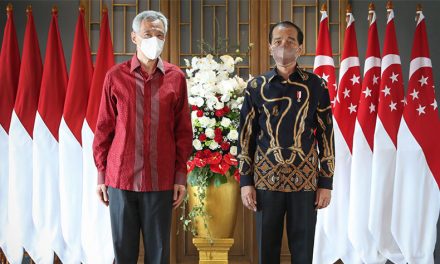 Indonesia, Singapore expand relations after putting disputes to bed