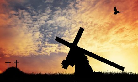 Easter Sunday: let peace rise from the ashes