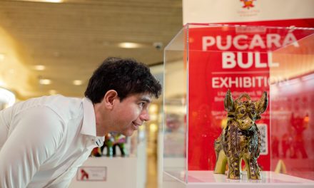 GALLERY: Peruvian Pucará Bull Exhibition in Singapore
