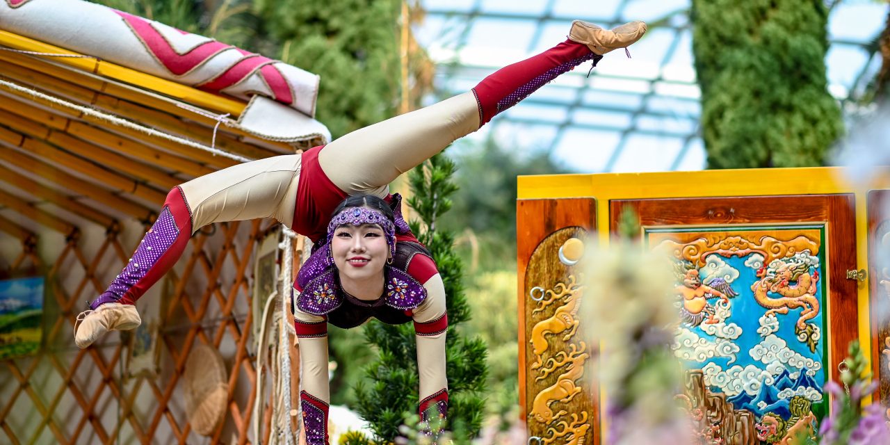 Explore Mongolia’s floral heritage at Chrysanthemum Charm at Gardens By The Bay