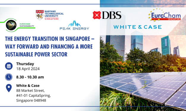 The Energy Transition in Singapore – Way Forward & Financing a More Sustainable Power Sector