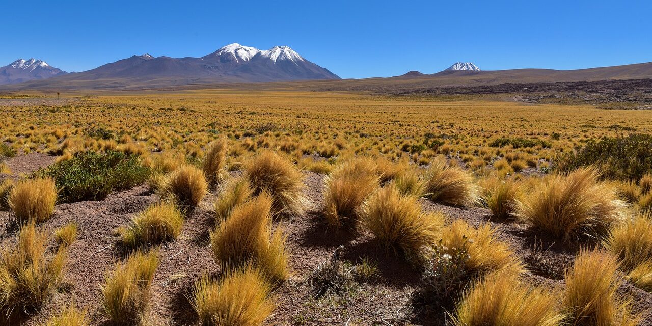 Honoring Chile’s literary giants on Independence Day