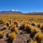 Honoring Chile’s literary giants on Independence Day