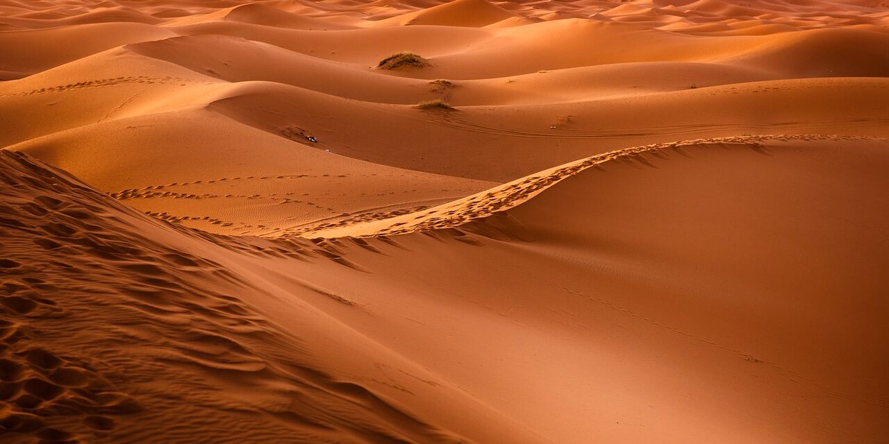 Celebrating Saudi Arabia’s national day through desert landscapes and folklore