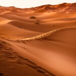 Celebrating Saudi Arabia’s national day through desert landscapes and folklore