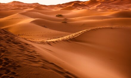 Celebrating Saudi Arabia’s national day through desert landscapes and folklore