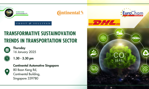 Transformative Sustainovation Trends in Transportation Sector