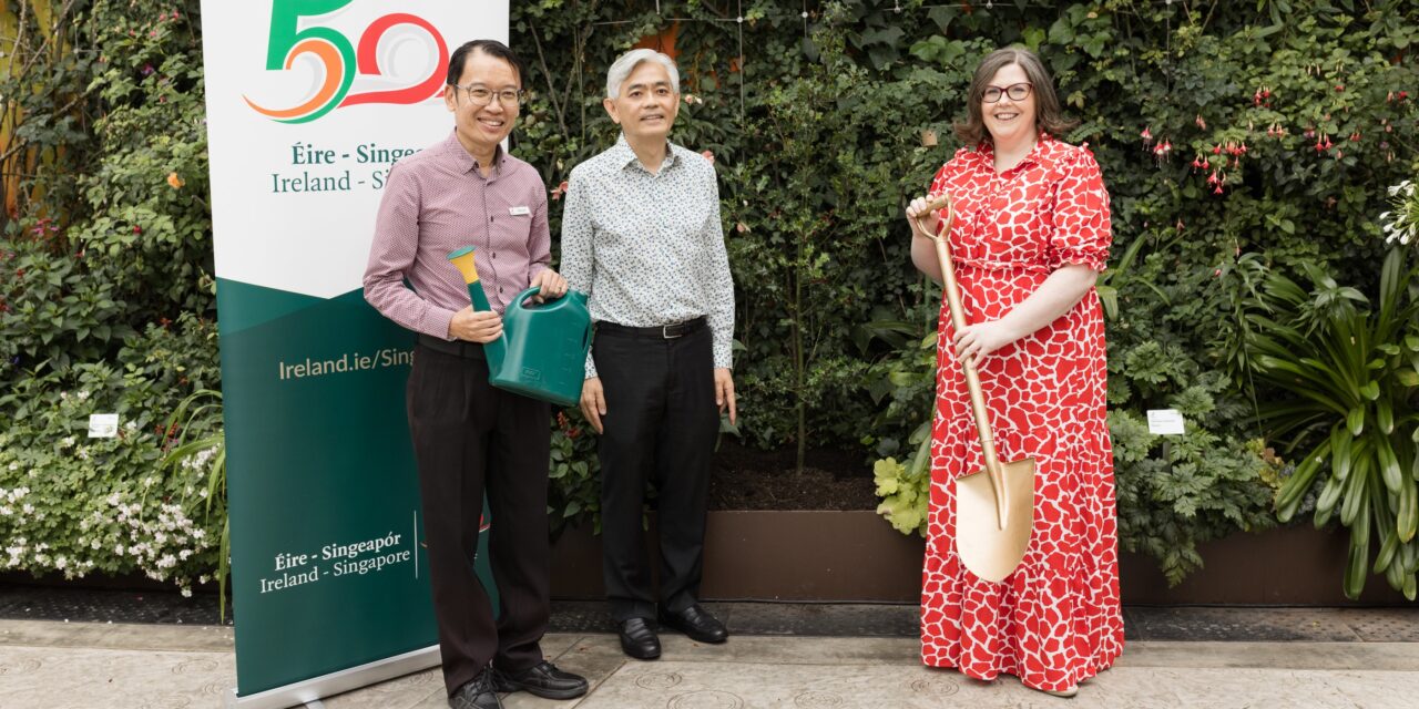 Ireland-Singapore relations blossom with holly tree gift at Gardens by the Bay