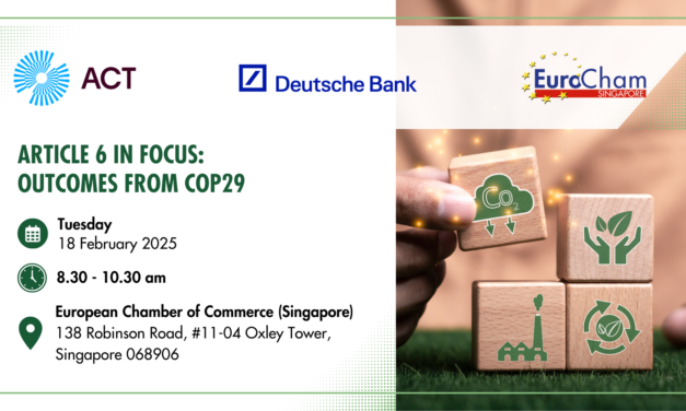 Article 6 in Focus: Outcomes from COP29