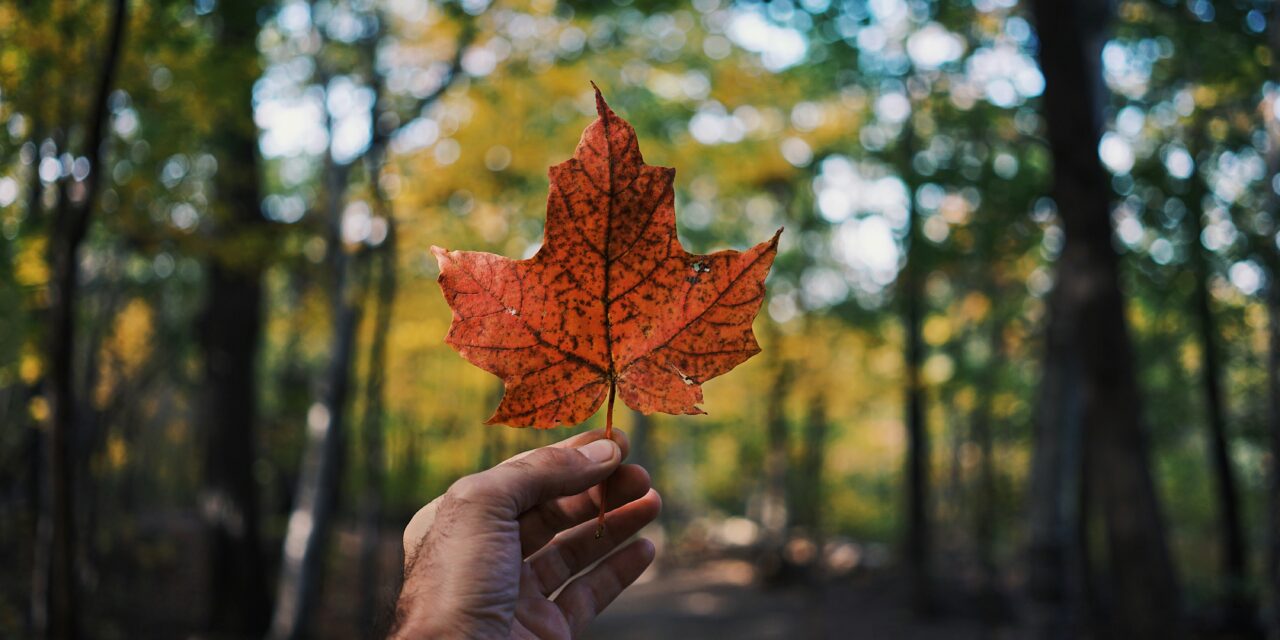 Canada Day 2026: A Celebration of Canada’s People