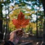 Canada Day 2026: A Celebration of Canada’s People
