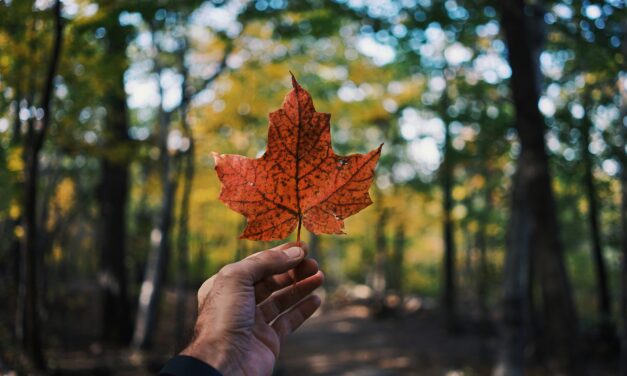 Canada Day 2026: A Celebration of Canada’s People