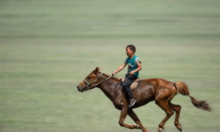 Naadam 2026: Mongolia’s Festival of Strength and Pride