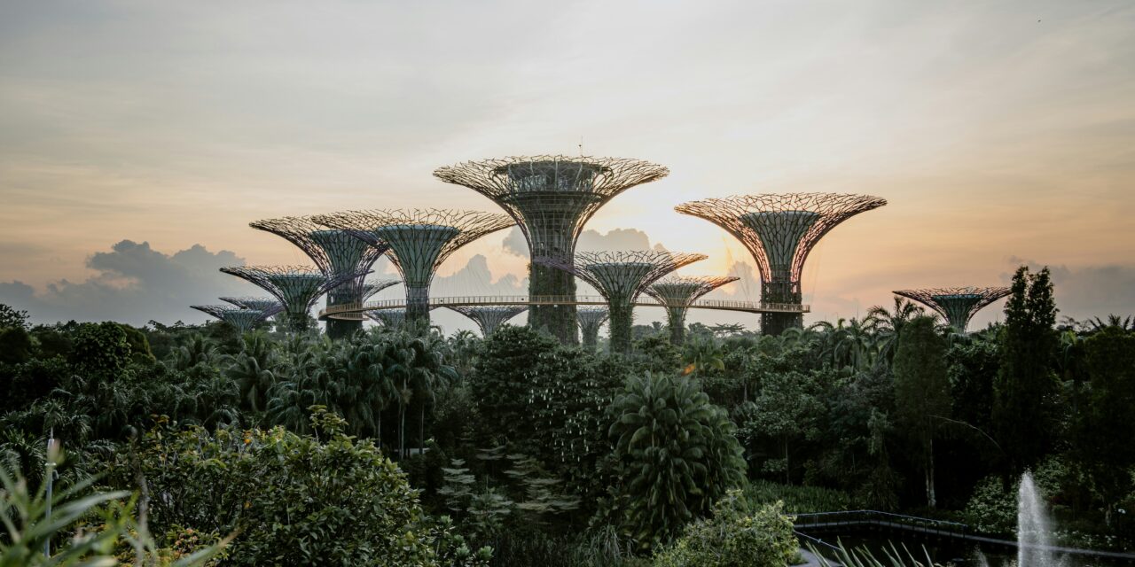 SG61: Celebrating Singapore’s National Day