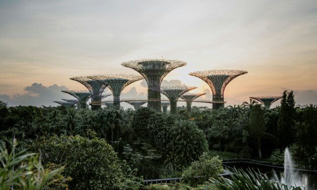SG61: Celebrating Singapore’s National Day